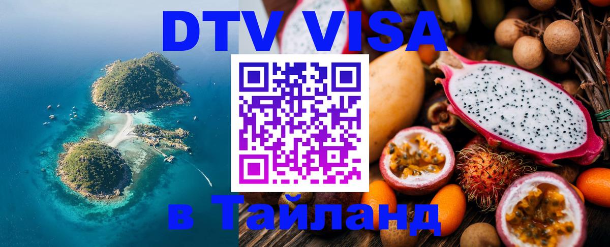 Сколько стоит DTV виза — актуальные цены, оформление даже без документов - 09.01.2026 